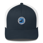 Sagittarius Cap