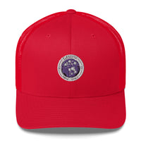 Gemini Cap