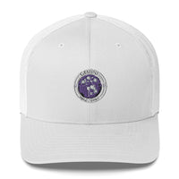 Gemini Cap