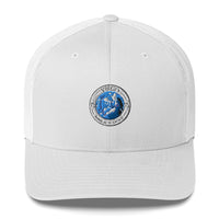 Virgo Cap