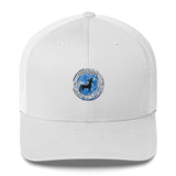 Sagittarius Cap