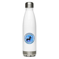 Psychic Astrology Sagittarius Stainless Steel Water Bottle