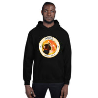 Aries Unisex Hoodie